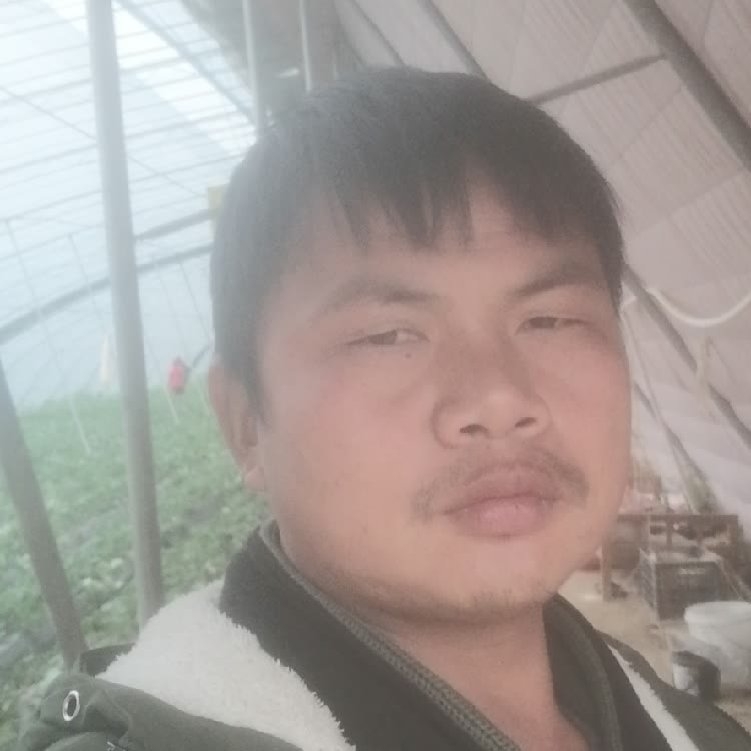 孤狼‘的第一张照片--连城相亲网