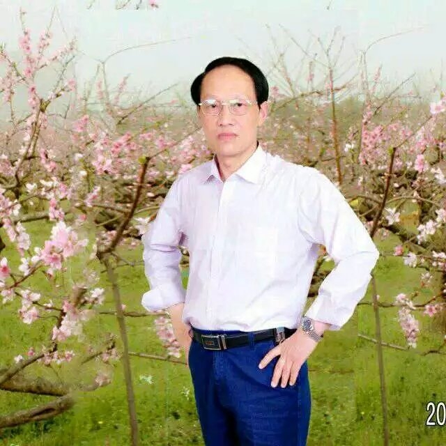枫叶的第一张照片--连城相亲网